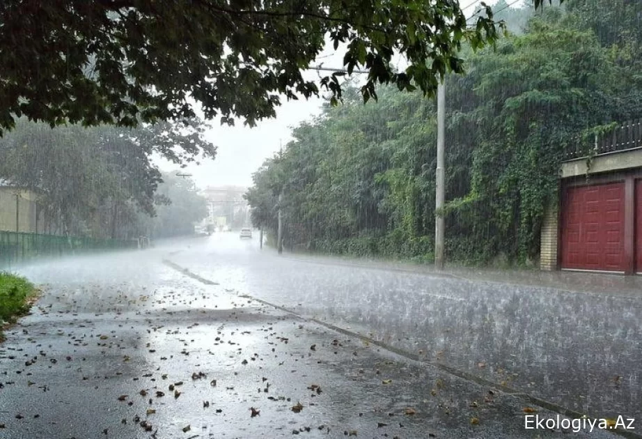Yağışlı hava koşullarının 21 Mayıs'a kadar devam etmesi bekleniyor