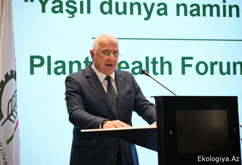 Bakan Yardımcısı: Ülkede Eldar çamı ve zeytin ağaçlarında hastalıkların yayılımı görülüyor