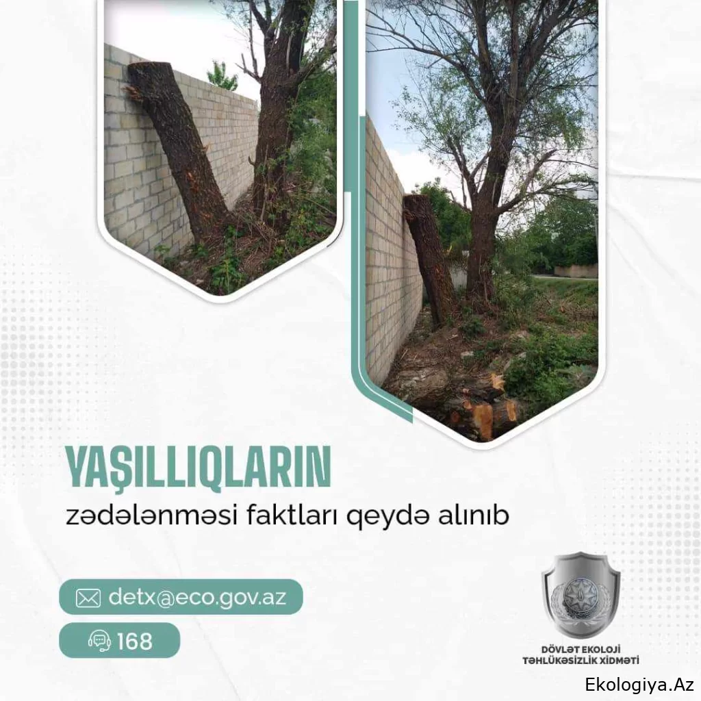 Devlet Çevre Güvenlik Servisi bu bölgelerde yeşilliklerin zarar gördüğünü tespit etti