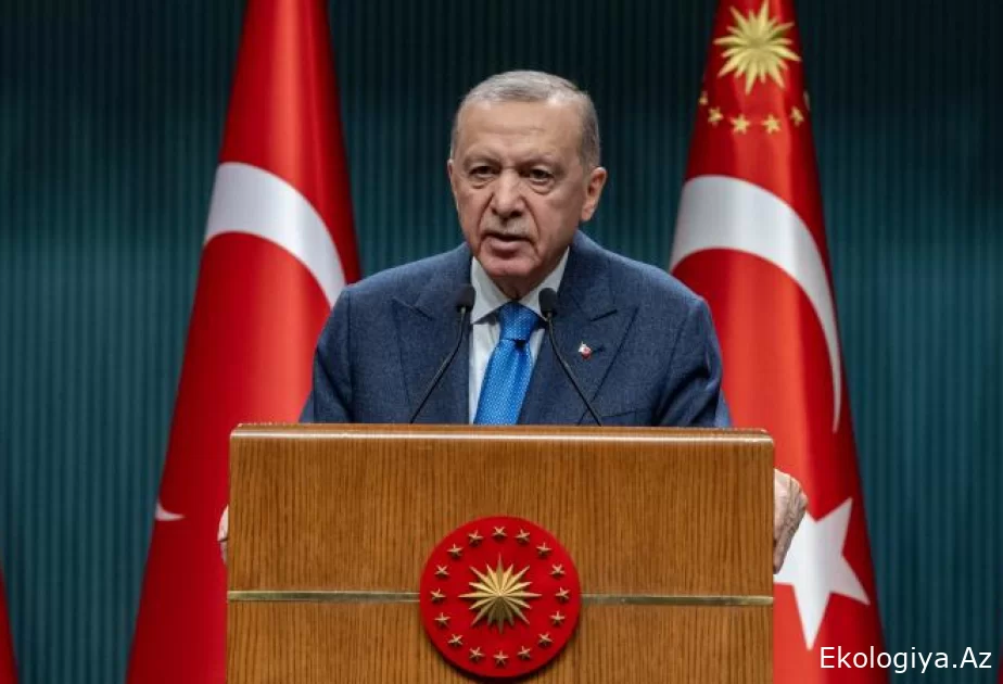 Erdoğan, devletleri çevre alanında uluslararası işbirliğine çağırdı