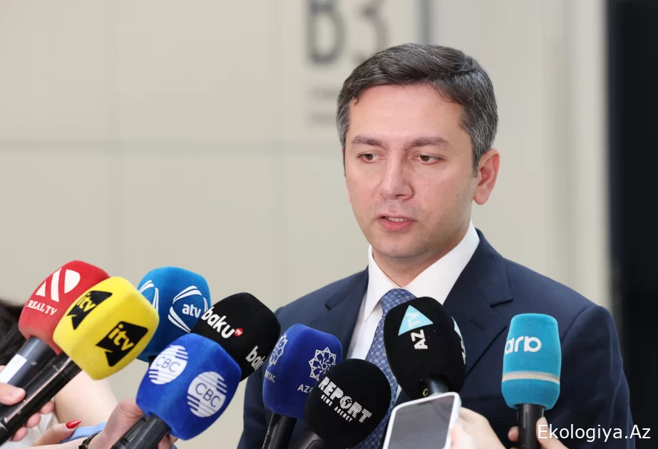 Yalçın Rafiyev: COP29 hazırlıkları kapsamında yapılan çalışmalar belirlenen süreye uygun şekilde ilerliyor