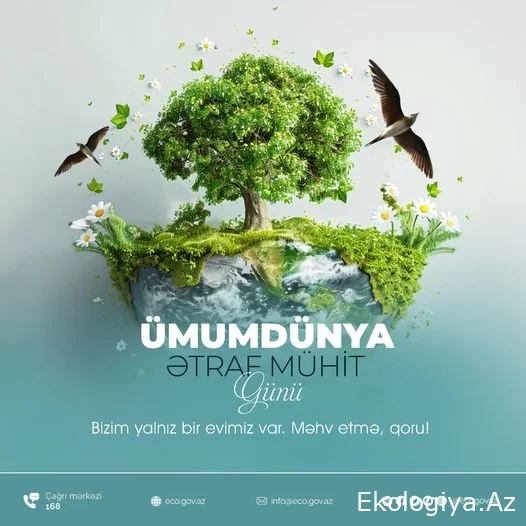 Bugün Dünya Çevre Günü