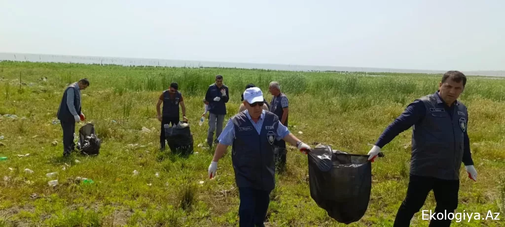 "Temiz Ülkem" eylemi kapsamında bölgelerde sonraki gösteriler düzenlendi - FOTOĞRAF