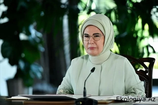 Amina Erdoğan: "Bakü'de düzenlenecek COP29'un sonuçları hatırlanacak"