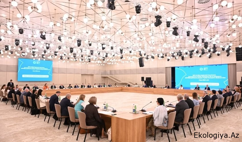 Organizasyon Komitesinin COP29'a ilişkin dördüncü toplantısı yapıldı