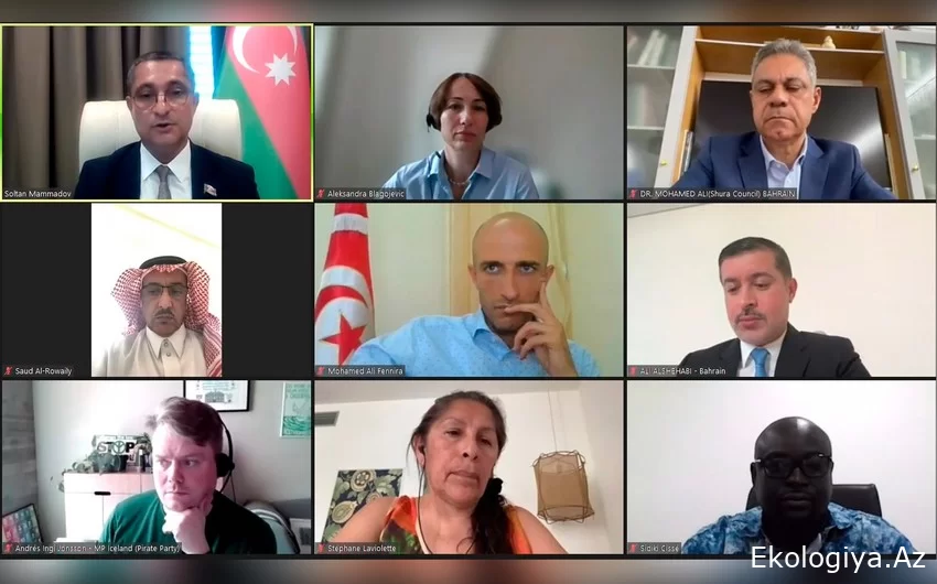 COP29 kapsamında parlamentolar arası diyaloga ilişkin çevrimiçi toplantı gerçekleştirildi