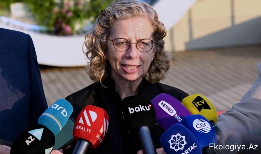 BM Genel Sekreter Yardımcısı: UNEP olarak COP29 "yolculuğunda" Azerbaycan'ı desteklemekten onur duyuyoruz