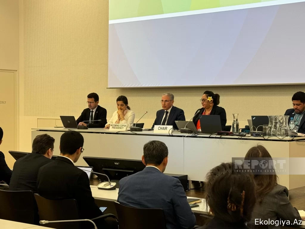 COP29 Başkanı Küçük Ada Devletleri Müzakere Grubu temsilcileriyle buluştu - FOTOĞRAF