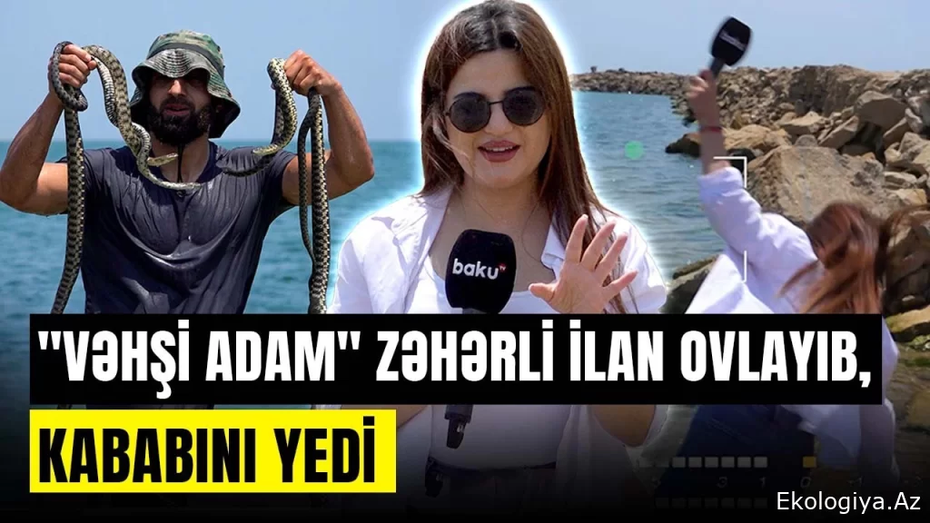 ŞOK EDEN OLAY! Arzu Kalbi ölümden döndü: Yılan yiyen, sahada hayatta kalmanın sırlarını ortaya çıkardı /VİDEO
