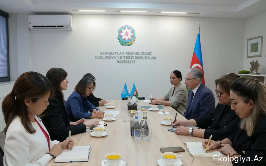 Muhtar Babayev BM yetkilisiyle COP29 hazırlıklarını görüştü