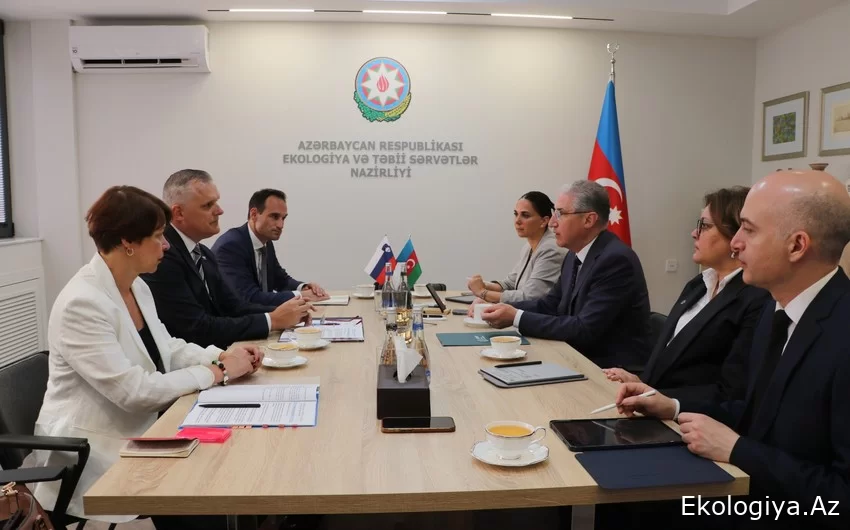 Muhtar Babayev Slovenya Çevre, İklim ve Enerji Bakanı ile görüşüb