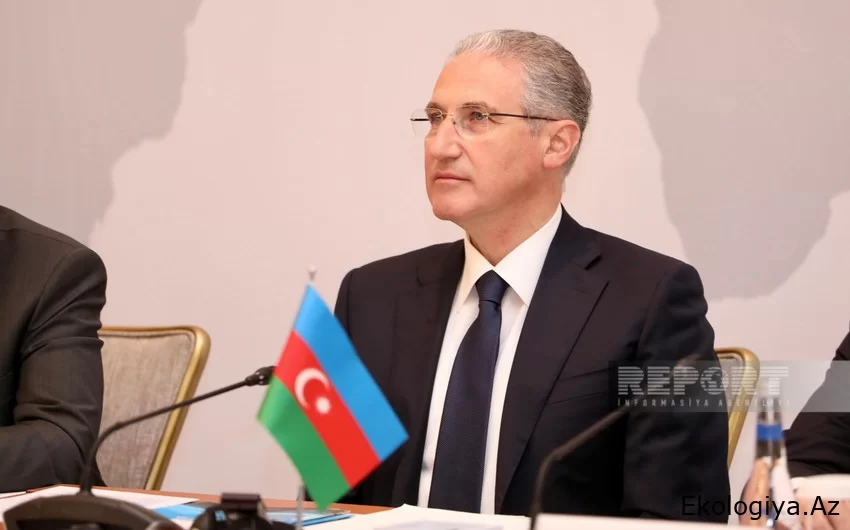 COP29 Başkanı: Paris Anlaşması'nın 6. maddesinin araçlarından biri üzerinde halihazırda anlaşmaya varıldı