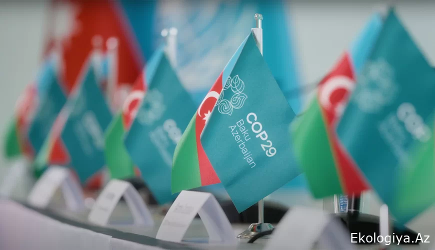 COP29 vize başvuru sistemi devreye alındı