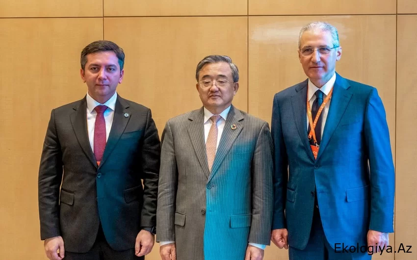 COP29'un başkanı ve baş müzakerecisi, Çin'in iklim sorunlarına ilişkin özel elçisiyle görüştü
