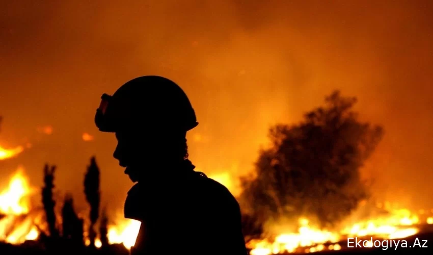 Bakan açıkladı: Yangınlar söndürüldü, 7 kişi tutuklandı