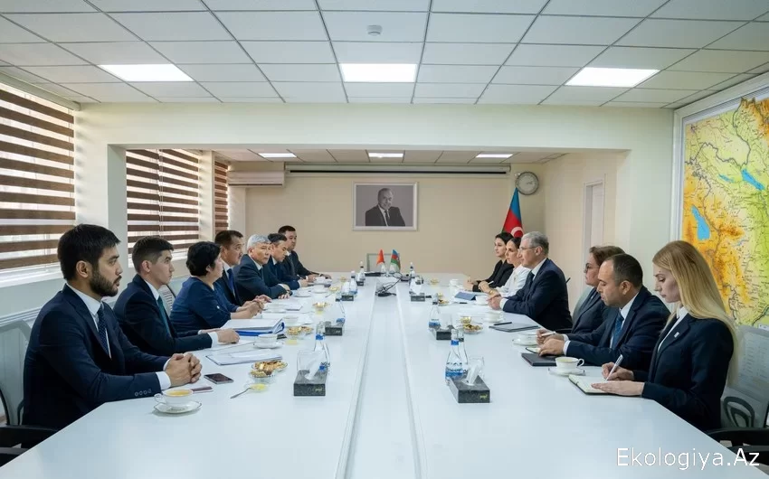 Azerbaycan ve Kırgızistan temsilcileri COP29 hazırlıklarını görüştü