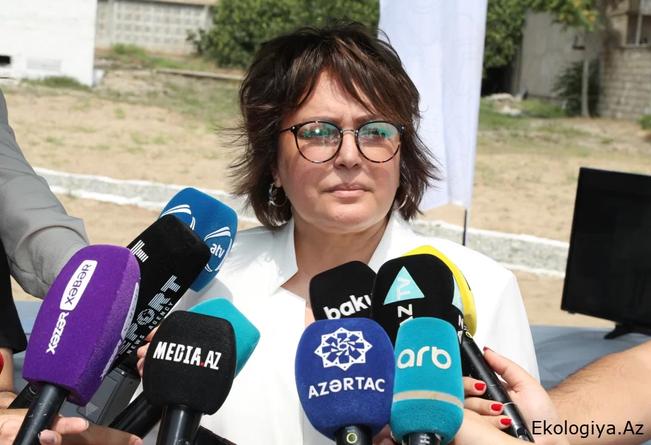 Umayra Taghiyeva: Mashtaga İhtisas Aeroloji İstasyonundaki gözlemlerin yeniden canlandırılması büyük önem taşıyor