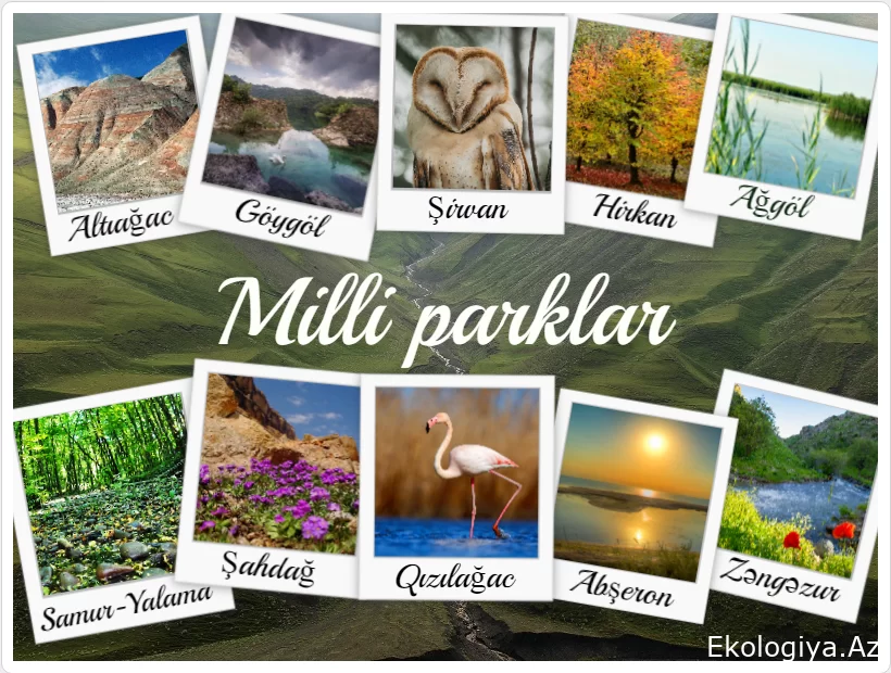 Milli parklar oyun alanları değildir, parklar ve rezervler doğal kaynakların akıllıca kullanımının bir parçasıdır/FOTOĞRAF