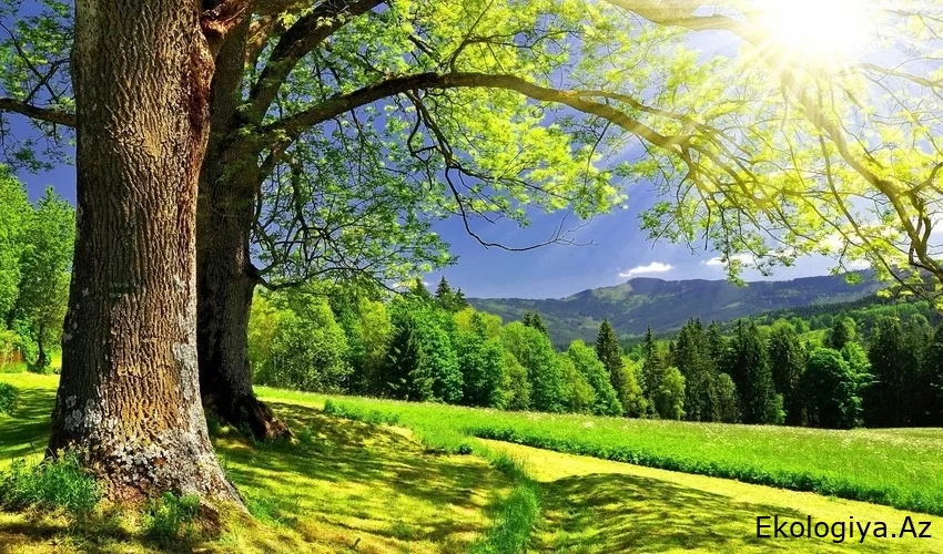 Yarın hava durumu açıklandı; 33 derece sıcaklık olacak